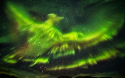 Giant Phoenix Captured in Stunning Aurora Borealis Iceland Show